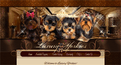 Desktop Screenshot of luxuryyorkies.com